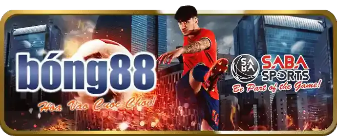 Hỗ trợ khách hàng Betvision Login